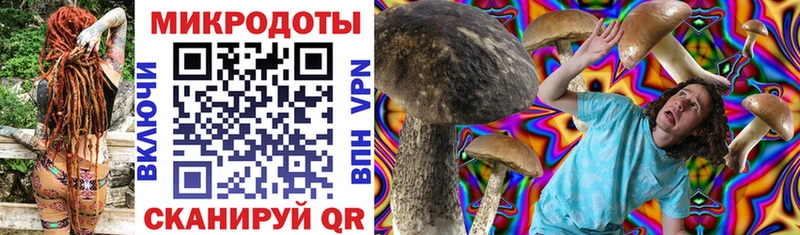 Псилоцибиновые грибы Psilocybine cubensis  купить наркотики цена  blacksprut зеркало  Алагир 