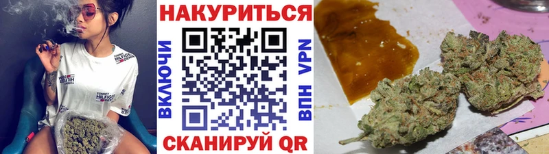 Каннабис гибрид  Алагир 